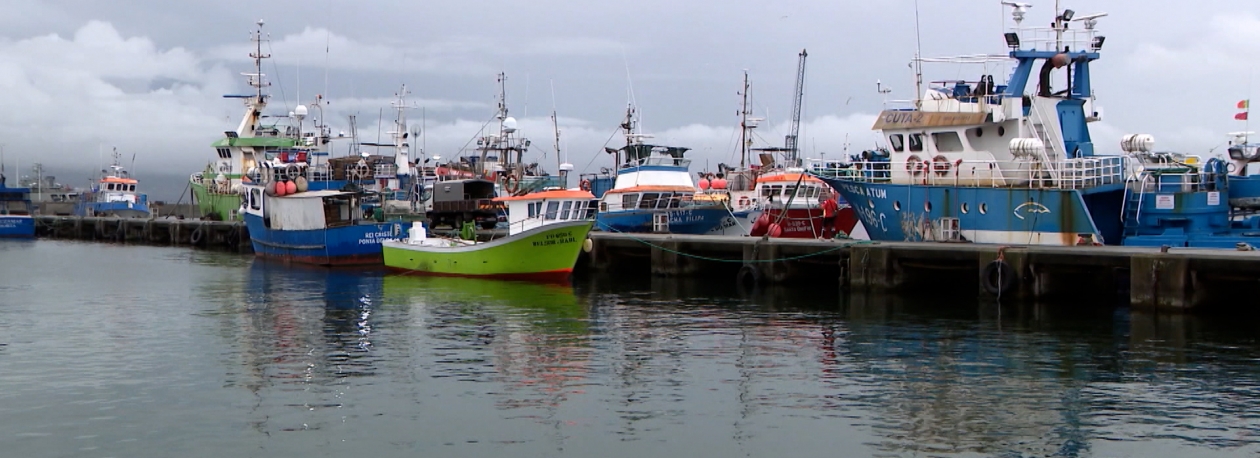 Imagem de FUNDOPESCA: Pescadores ainda não receberam os 439€ prometidos pelo Governo