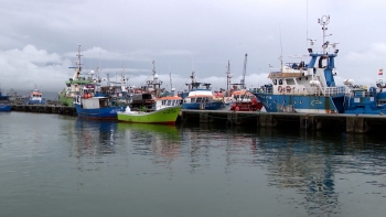 Imagem de Bolieiro anuncia 10M€ da República para compensar pescadores