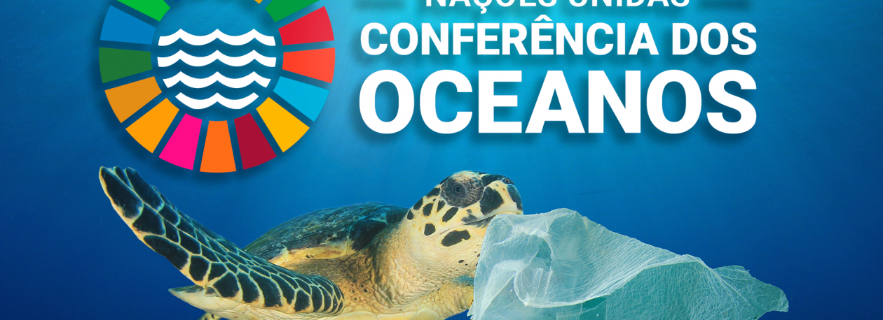Imagem de Subsecretário geral da ONU defende reforço substancial do investimento no Oceano