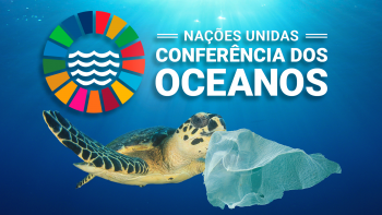 Imagem de Subsecretário geral da ONU defende reforço substancial do investimento no Oceano