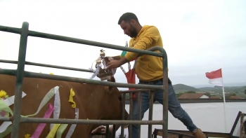 Imagem de Tradição do cortejo da vaca enfeitada esteve presente na Guadalupe