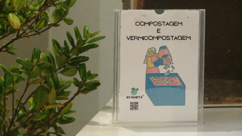 Imagem de Feira do Ambiente na Praia da Vitória reúne escolas e parceiros