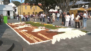 Imagem de Festa da Flor: Ribeira Grande transforma-se num jardim florido