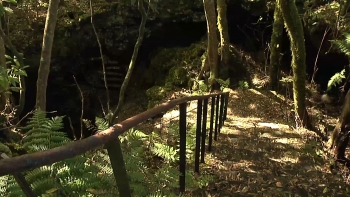 Imagem de Gruta das Torres sem visitas há um ano