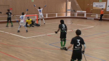 Imagem de Falta de apoios públicos faz encerrar hóquei em patins no Marítimo