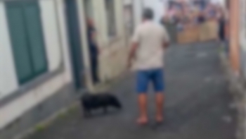 Imagem de Jogo do ‘porco untado’ gera contestação