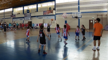 Imagem de Associação de Basquetebol do Faial e Pico comemora 25 anos