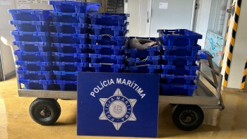 Imagem de Polícia Marítima apreende 400kg de pescado em Santa Maria