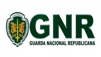 Imagem de GNR avança com 2 autos de notícia por contraordenação relacionados com ‘apanha do porco’