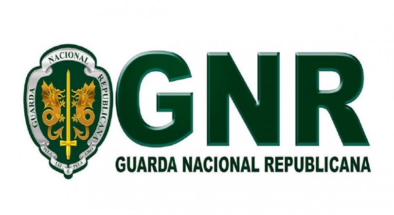 Imagem de GNR avança com 2 autos de notícia por contraordenação relacionados com ‘apanha do porco’