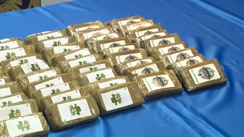 Imagem de Detido estrangeiro em São Miguel na posse de 17 quilos de droga