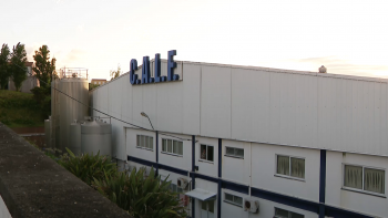 Imagem de CALF aprova plano de reestruturação para pagar dívidas e garantir futuro da fábrica
