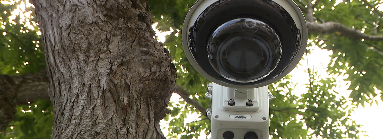 Imagem de Videovigilância já está a funcionar em Ponta Delgada