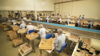 Imagem de Fábrica Santa Catarina recorre a mão-de-obra de Cabo Verde para garantir produção