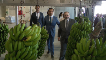Imagem de Paulo do Nascimento Cabral quer que Parlamento Europeu atualize verbas para setor primário