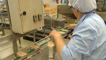 Imagem de Baixas Médicas em excesso nas fábricas de conservas, queixam-se os industriais
