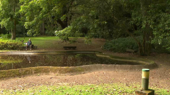 Imagem de Jardim José do Canto recebeu mais de 48 mil visitantes em 2024