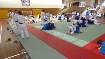Imagem de Programa da Associação de Judo dos Açores em risco por falta de apoio