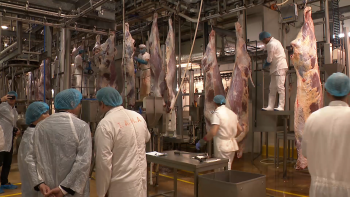 Imagem de Exportação de carne impulsiona economia regional no primeiro semestre de 2025