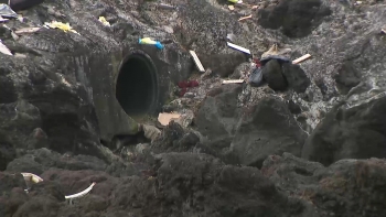 Imagem de Empresários e moradores de Rabo de Peixe queixam-se de mau cheiro