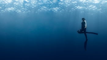 Imagem de Documentário ‘Mulheres do Mar dos Açores’ estreia-se hoje no Cineteatro Faialense