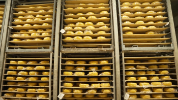 Imagem de Queijo da Graciosa: Fábrica da Pronicol procura inovar e alcançar novos mercados