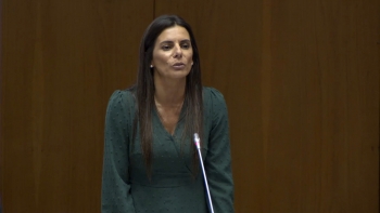 Imagem de PS denuncia incumprimento do Governo no pagamento de apoios às IPSS