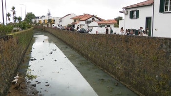 Imagem de Águas da ribeira da Conceição, no Faial, estão contaminadas