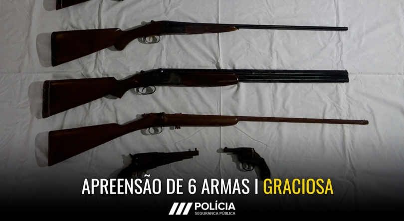 Imagem de PSP apreende armas furtadas e revólveres ilegais na Graciosa