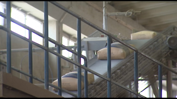 Imagem de Preço do cimento sobe 5,4% nos Açores