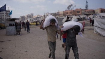 Imagem de Donativos dos açorianos ajudam a colocar 120 toneladas de alimentos em Gaza