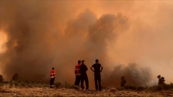 Imagem de Incêndios: Agricultores de São Miguel doam 12 toneladas de alimento para animais