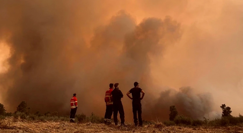 Imagem de Incêndios: Agricultores de São Miguel doam 12 toneladas de alimento para animais