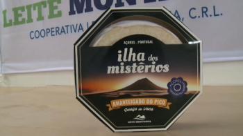 Imagem de Cooperativa Leite Montanha declara insolvência devido a dívida de 3M€ à Lactaçores