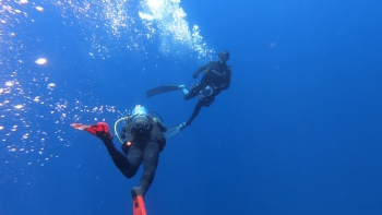 Imagem de Falta de regulamentação da Áreas Marinhas protegidas provoca conflitos no banco Princesa Alice