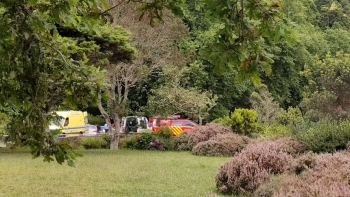 Imagem de Nova morte na Lagoa das Sete Cidades