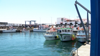 Imagem de Acordo armadores da Terceira: Cada embarcação só pode pescar 100kg de goraz por dia