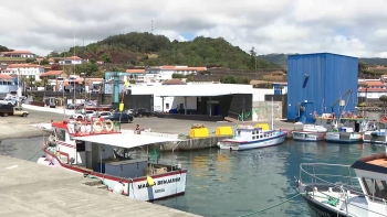 Imagem de Pescadores e armadores do porto de São Mateus protestam contra diminuição da quota do goraz