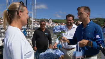 Imagem de Semana do Mar arranca com distribuição de hortências e produtos locais aos iatistas