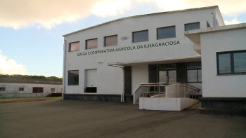 Imagem de Adega Cooperativa Agrícola da Graciosa vai ser gerida por uma Comissão Administrativa