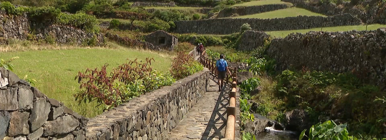 Imagem de Turismo continua a ser principal motor de desenvolvimento económico das Flores