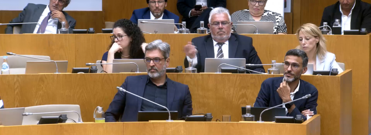 Imagem de Parlamento reprova projetos do PAN e BE relacionados com a interrupção voluntária da gravidez