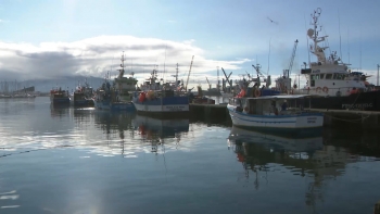 Imagem de Associações e Federação das Pescas defendem valorização do pescado