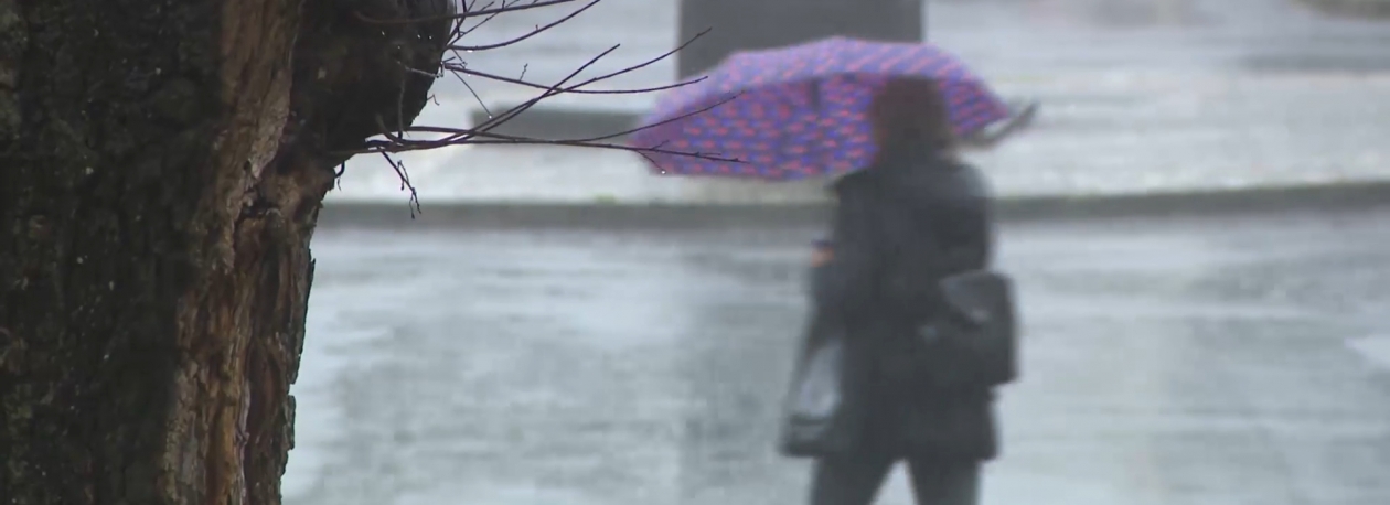 Imagem de IPMA emite aviso amarelo para vento e agitação marítima para todo arquipélago