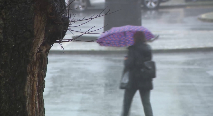 Imagem de IPMA emite aviso amarelo para vento e agitação marítima para todo arquipélago