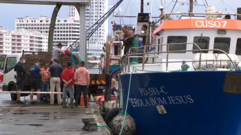 Imagem de Comerciantes de pescado querem compensação pela entrada em vigor da rede de AMP