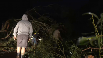 Imagem de Tempestade Gabrielle: Em São Jorge três pessoas tiveram de ser realojadas na Calheta