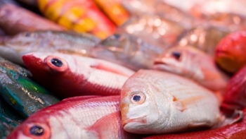 Imagem de Pescadores da Terceira vão poder pescar mais 19 toneladas de goraz até ao final do ano