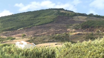 Imagem de Incêndios Graciosa: Proteção Civil alerta que fogo posto pode trazer consequências para a população