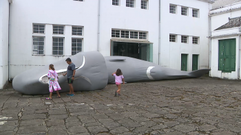 Imagem de Museu da Fábrica da Baleia do Boqueirão guarda memórias dos tempos da baleação